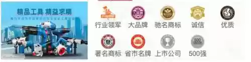 2022电锤十大品牌(中国电锤十大名牌排行榜)插图8
