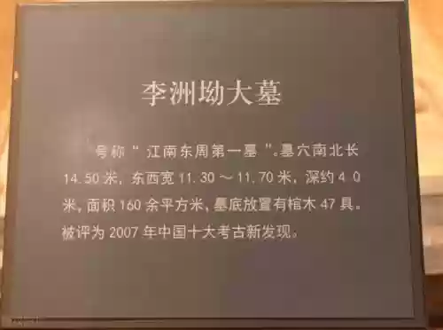 2007十大考古发现(中国考古发现最早的酒)插图6