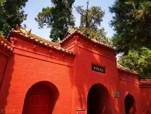 2007十大考古发现(中国考古发现最早的酒)插图7