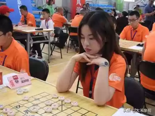 女子象棋十大布局图(象棋布局细解)插图5