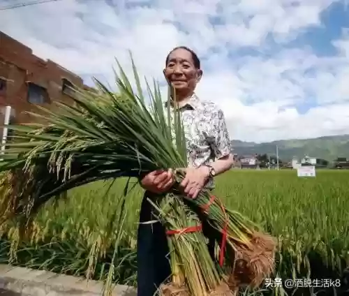 10感动中国十大人物(中国胶粘剂十大上市公司)插图5
