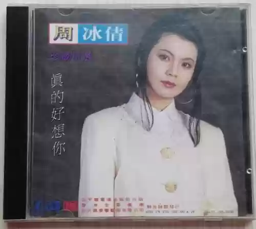 1991年十大中文金曲(1991年流行歌曲名单)插图29