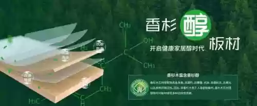2017十大板材品牌(十大板材排名有哪些品牌)插图6