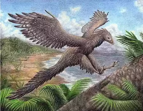 地球上十大恐龙排名(最强的十大恐龙)插图5