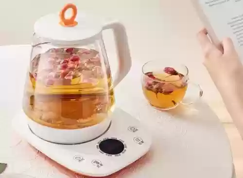 十大名牌的水壶(家用烧水壶哪个牌子好)插图3