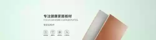 2017十大板材品牌(十大板材排名有哪些品牌)插图22