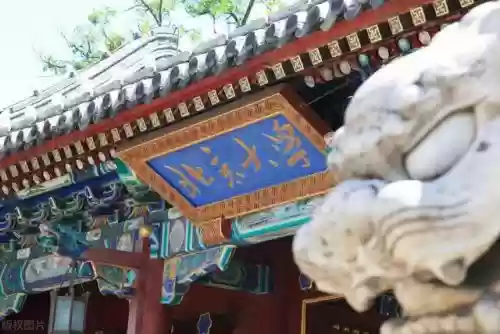 2022年十大傻(女人十大傻)插图2