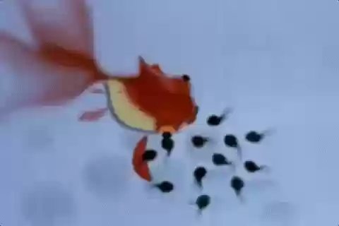 十大怀旧动漫搞笑(很搞笑的动画片)插图12