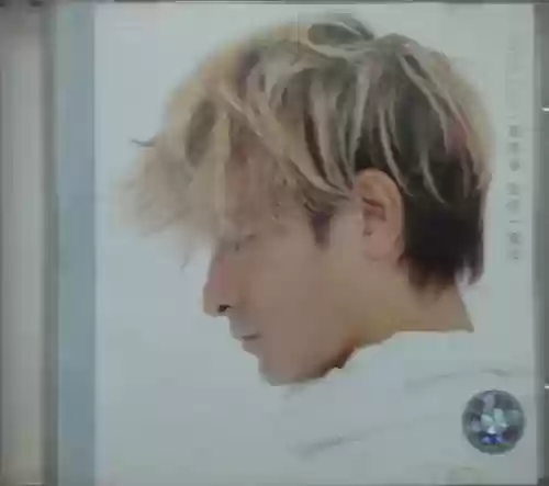 1991年十大中文金曲(1991年流行歌曲名单)插图45
