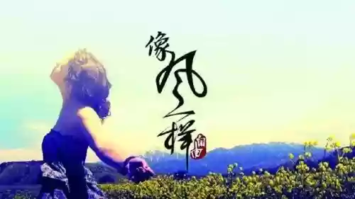 2017十大网络情歌(网络情歌大全)插图1