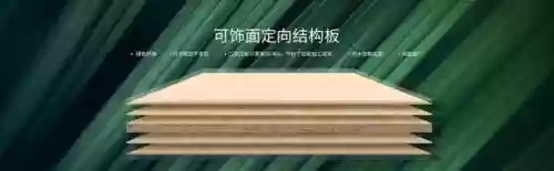2017十大板材品牌(十大板材排名有哪些品牌)插图1