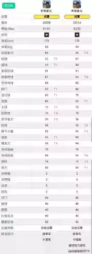 2021十大潜力边锋(世界十大边锋)插图1