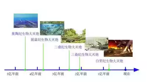 100十大灭绝(地球上五次生物大灭绝)插图