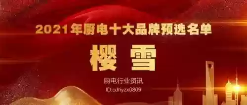 2017十大名牌厨电(厨电排名前十的品牌)插图11