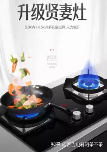 2014灶具十大品牌排名(灶台品牌排行榜前十名)插图22