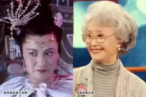 87年版西游记演员阵容(1986版西游记演员表)插图18