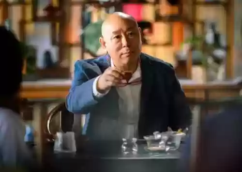 盛装演员表主演阵容(电视剧伪装者主演演员表)插图11