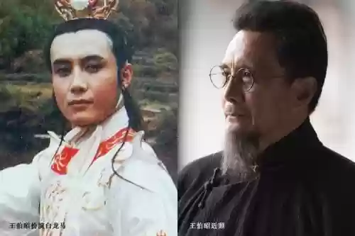 87年版西游记演员阵容(1986版西游记演员表)插图6