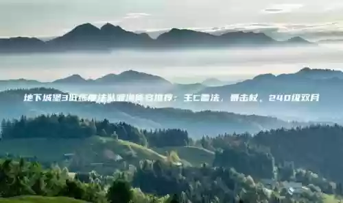 地下城堡3渡海用什么阵容(地下城堡3最强t0阵容搭配)插图