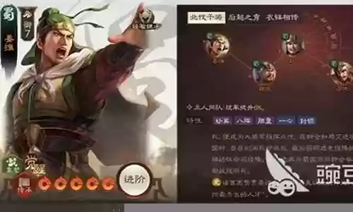 战棋姜维阵容搭配推荐插图