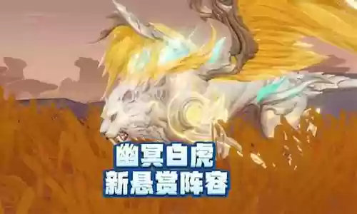 暗器阵容搭配幽冥白虎插图