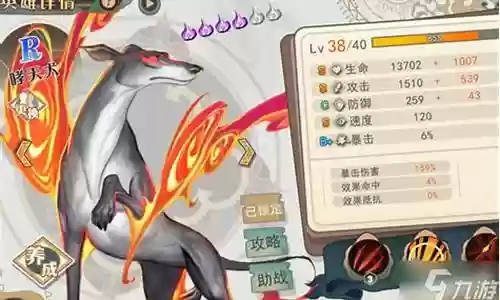 不愁火的阵容搭配插图