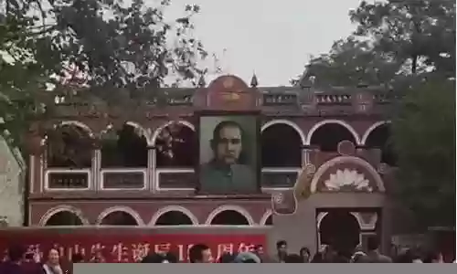 海岛元勋阵容怎么搭配插图