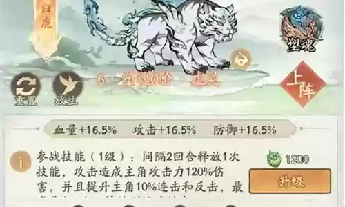 白虎猫阵容搭配推荐插图