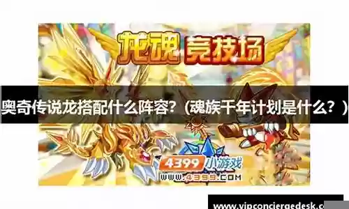 土龙搭配什么阵容插图