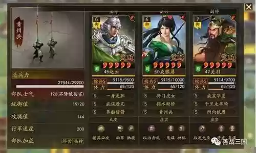 赵云震慑枪阵容搭配插图