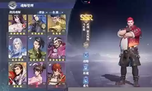 新手戴沐白阵容搭配插图