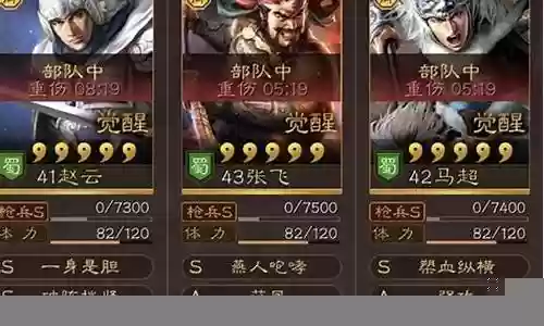 平民赵云马超搭配什么阵容插图