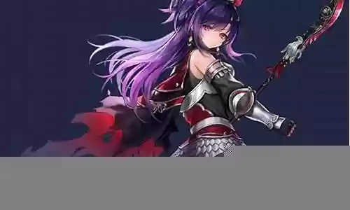 花木兰的阵容搭配插图