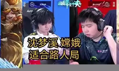 双法师巅峰对决阵容插图