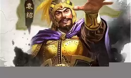 夏侯与袁绍的阵容搭配插图