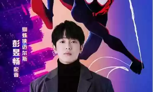 蜘蛛侠的阵容搭配图插图