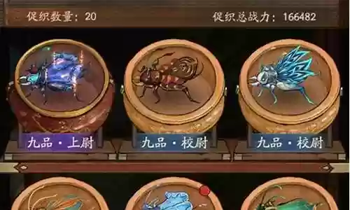 大掌柜最强氪金阵容搭配插图