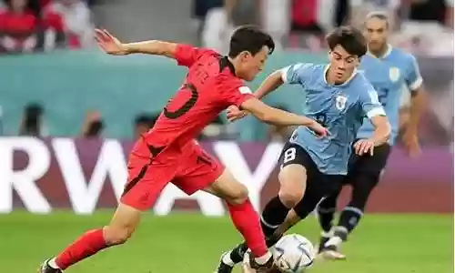 世预赛韩国对伊拉克阵容插图