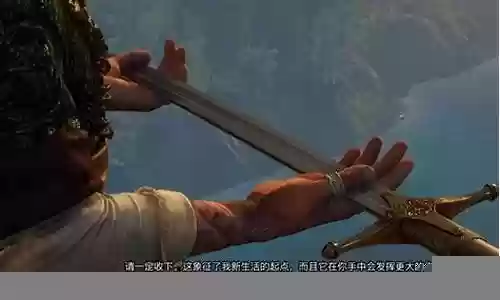 巫师3武器右侧数字插图