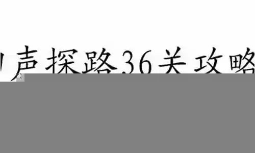 回声探路攻略13关插图