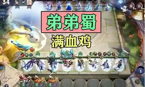 弟弟蜀蔡文姬阵容怎么搭配插图