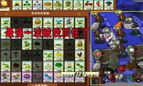 植物大战僵尸传奇阵容搭配插图