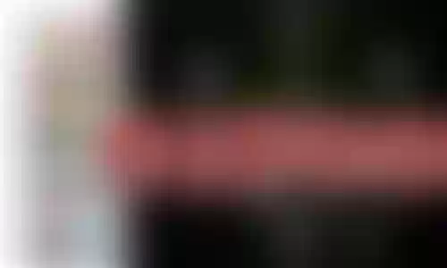 普卡最强阵容搭配图片高清插图