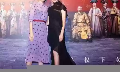 如懿传如意阵容搭配图插图