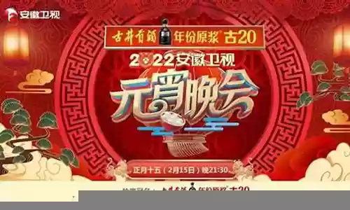 安徽卫视元宵晚会阵容介绍插图