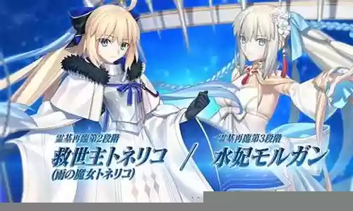 FGO国服阵容怎么搭配插图