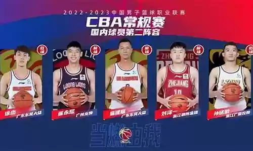 下赛季青岛队阵容搭配谁插图