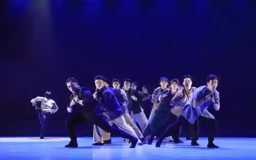 大型舞蹈阵容插图