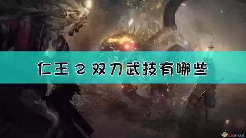 仁王双刀技能图插图