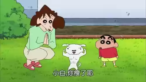 胖子小白阵容插图1